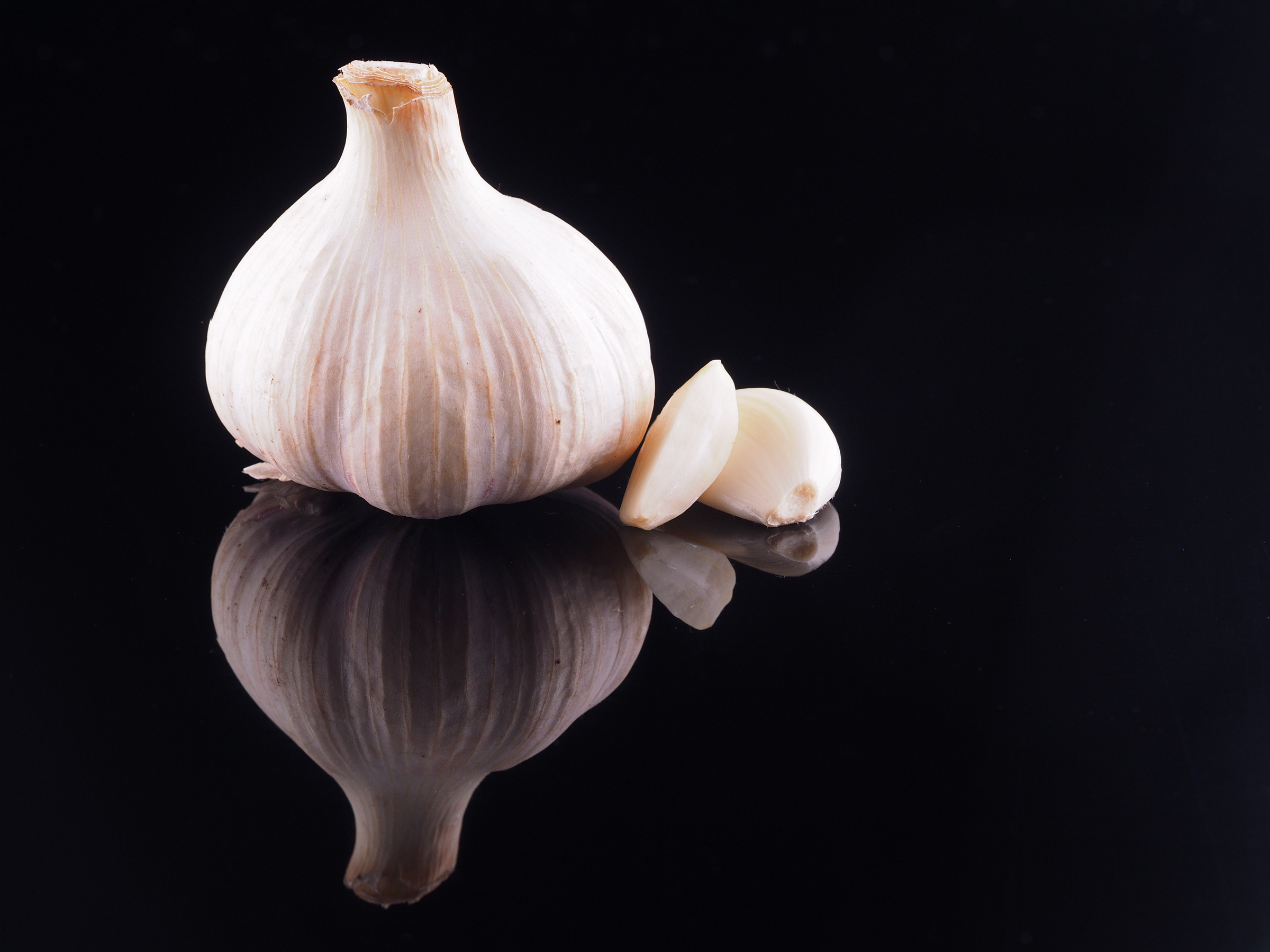Garlic
