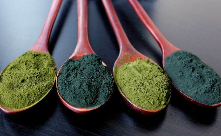 The Blue Green Algae Superfood Can Transform Your Health!