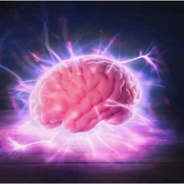 Boost your brain power with this nutrient!